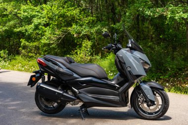 Gri Yamaha Max Ormanda 250 motosiklet