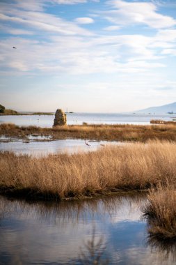 Deniz ve plajın güzel manzarası