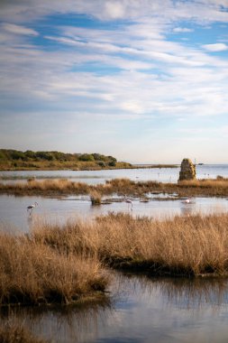 Gölün arka planında bir göl olan güzel bir manzara.