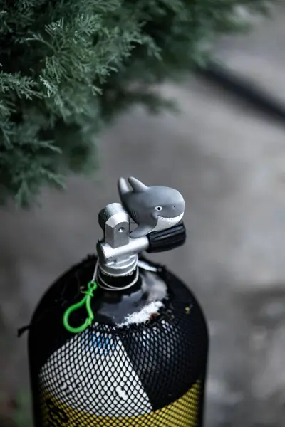 Scuba Tank ve Köpekbalığı 