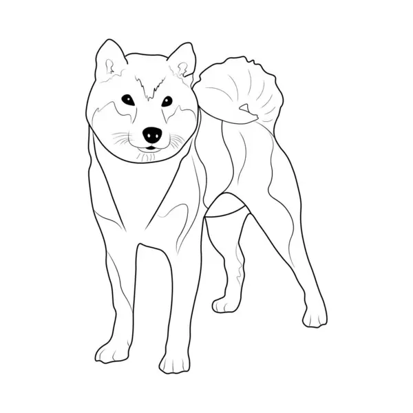 Shiba Iny. Çocuklar için boyama kitabı.
