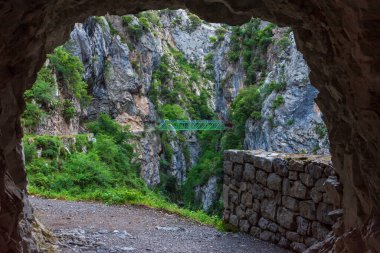 Rebecos Köprüsü, Cares Nehri Yolu, Picos de Europa.