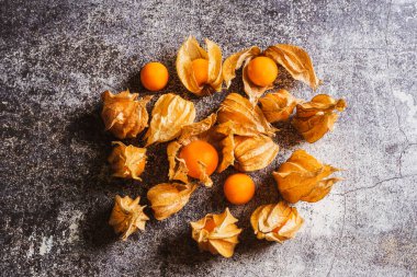 Mermer bir arka planda fizsalis hayatı.