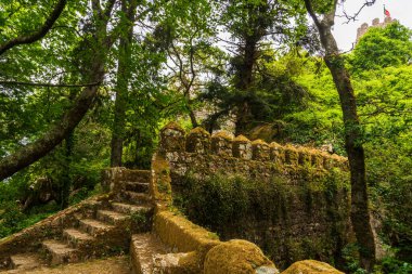 Sintra 'nın Berberi şatosunun bahçelerinde yosunlu merdiven ve siperler.
