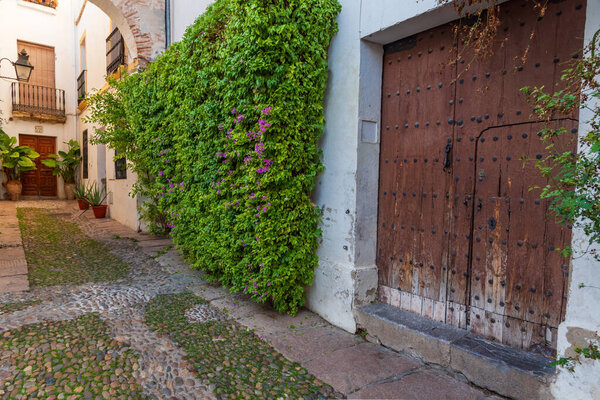 Narrow street with old gate and plants in the Jewish quarter of Cordoba.
