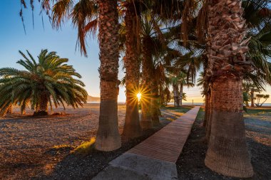 Motril, Costa Tropical de Granada 'nın Poniente plajına giriş izni veren palmiye ağaçlarıyla dolu bir patika..