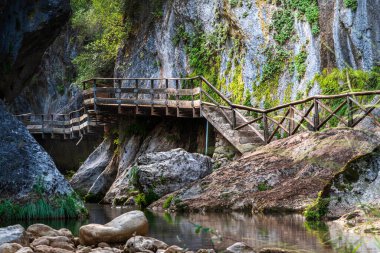 Cerrada de Elias Boğazı 'nda Borosa Nehri boyunca Sierra de Cazorla, Jaen' de manzaralı ahşap bir yürüyüş..