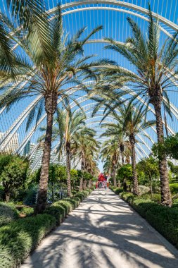 Valencia, İspanya - 12 Ağustos 2022: Güneşli bir günde etrafı palmiye ağaçları ve yemyeşil bahçelerle çevrili Umbracle 'ın beyaz çelik kemerleri altında yürüyen iki ziyaretçi.