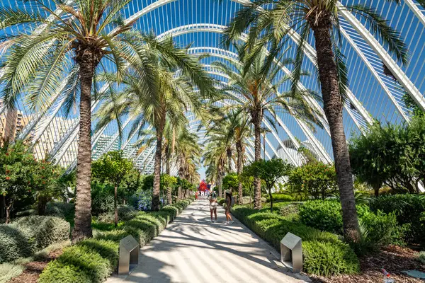 Valencia, İspanya - 12 Ağustos 2022: Güneşli bir günde etrafı palmiye ağaçları ve yemyeşil bahçelerle çevrili Umbracle 'ın beyaz çelik kemerleri altında yürüyen iki ziyaretçi.