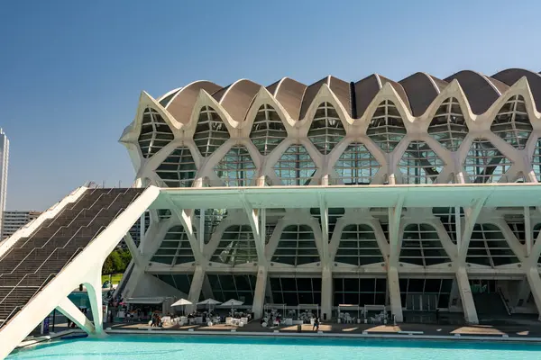 Valencia, İspanya - 12 Ağustos 2022: Açık mavi gökyüzünün altındaki turkuaz suya yansıyan iskelet kemerlerini sergileyen Prens Felipe Bilim Müzesi.