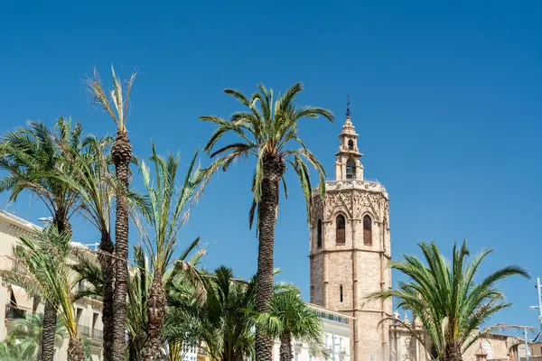 Bereketli palmiye yaprakları Valensiya Katedrali 'nin Gotik Miguelete çan kulesini çerçeveler. Tarihi Plaza de la Reina' da canlı bir yaz gökyüzüne karşı yükseliyor..