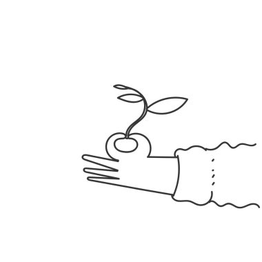 Tohumları karalama tarzında tutarak.