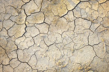 Gün batımında derin çatlakları olan kurumuş kil toprağın kahverengi arkaplanı. Susuz, çorak topraklar. Küçük taşlı toprak desenleri ile misafirperver olmayan doğa