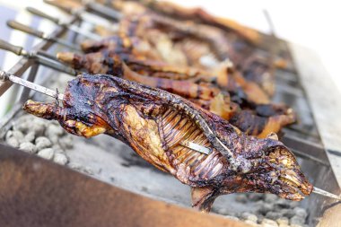 Açık ateşte kızartılmış küçük bir domuzun yarısı. Bifteğin üstünde ev yapımı domuz eti.