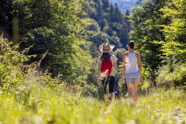 Tatillerde doğa gezisine çıkan iki genç kız. Yürüyüş, ormanda yürüyüş. Sağlıklı yaşam tarzı, kardiyo, spor