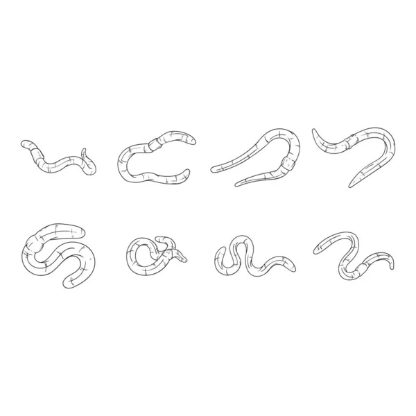 stock vector collection of earthworm icon vector