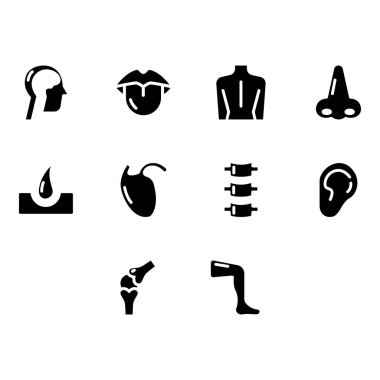 gövde parçası simge vektörünün koleksiyonu