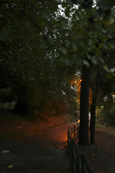 秋の夜の風景 — ストック写真