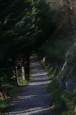 Bir sonbahar gününde şehir parkı