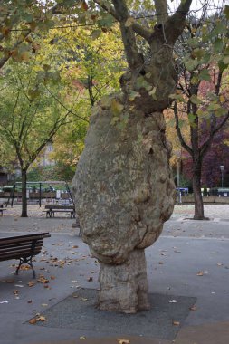 Bilbao şehrinde sonbahar günü