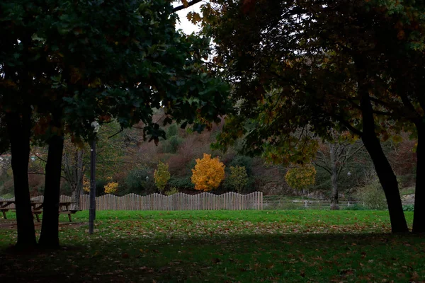 都会の公園の紅葉 — ストック写真