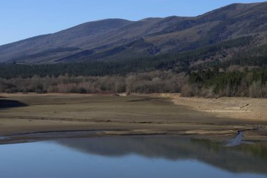 Low water level in a swamp