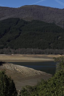 Low water level in a swamp