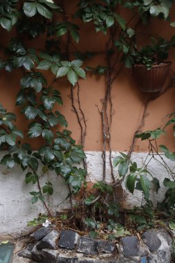 Klasik mimari Roma, İtalya