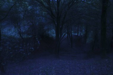 Outskirts of a city in the evening