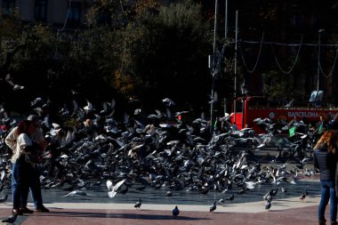Katalunya Meydanı, Barselona 'da insanlar ve güvercinler