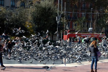 Katalunya Meydanı, Barselona 'da insanlar ve güvercinler