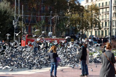 Katalunya Meydanı, Barselona 'da insanlar ve güvercinler