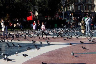 Katalunya Meydanı, Barselona 'da insanlar ve güvercinler