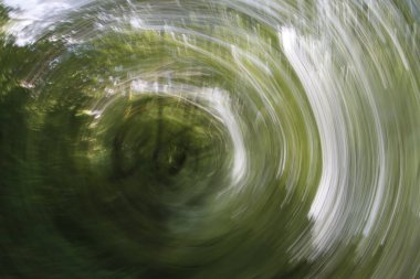 Bask ülkesinin kırsalında bitki örtüsü