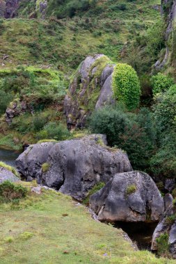 Bask ülkesinin kırsal kesiminde manzara