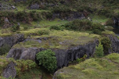 Bask ülkesinin kırsal kesiminde manzara