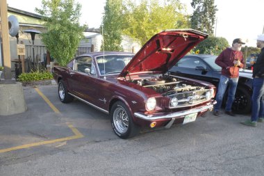 Araba ve kahvaltı Ann Arbor 'un eteklerinde toplanıyor.