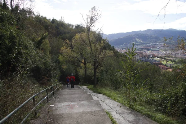 Bir şehir parkında bitki örtüsü