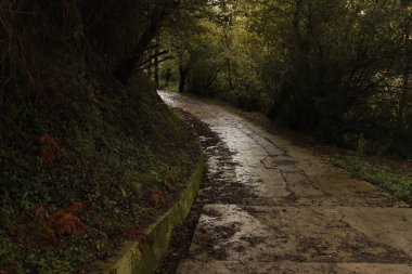 Parkta sonbahar renkleri