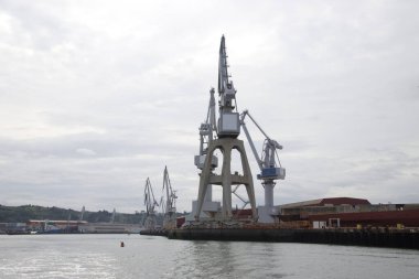 Bilbao, İspanya 'nın haliçlerinde turnalar