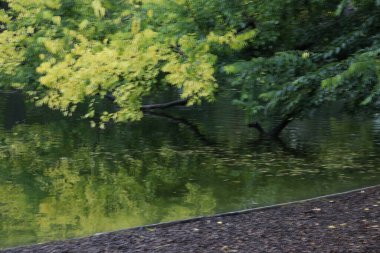 Akşamları şehir parkı