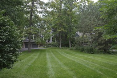 Ann Arbor, Michigan 'ın banliyöleri