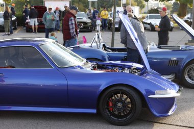  Ann Arbor, Michigan 'ın varoşlarında araba buluşması