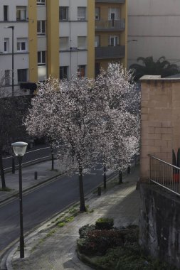 Bilbao şehrinde kentsel çevre