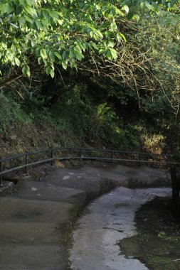 Şehir ortamında merdivenler