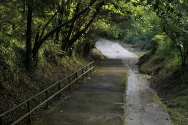 Şehir ortamında merdivenler