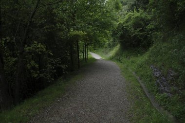 Bilbao 'da bir şehir parkında bitki örtüsü