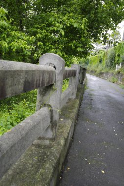 Bilbao 'da bir şehir parkında bitki örtüsü
