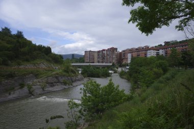 Bilbao 'da bir şehir parkında bitki örtüsü