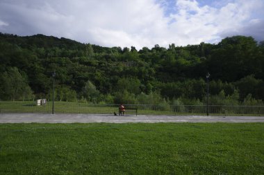 Bilbao 'da bir şehir parkında bitki örtüsü